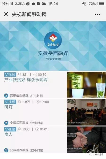 岳西最新爆料新闻事件,重大事件引发社会关注，真相即将揭晓！  第3张