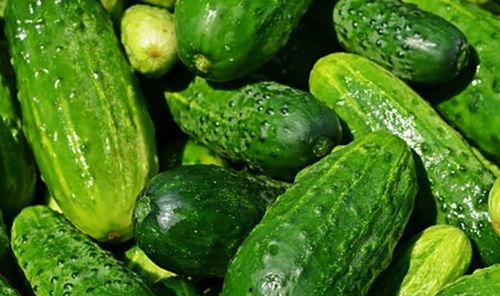 黄瓜农药爆料视频播放大全,视频爆料大全深度解析 第1张 黄瓜农药爆料视频播放大全,视频爆料大全深度解析 第1张