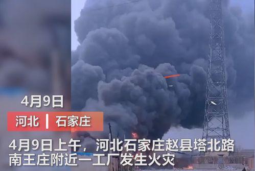 河北学校爆料事件视频曝光,真相揭开，引发社会关注  第1张